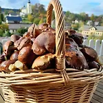Jana - Wellness Penzion Jilemnice
