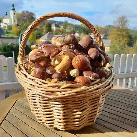 Jana - Wellness Jilemnice