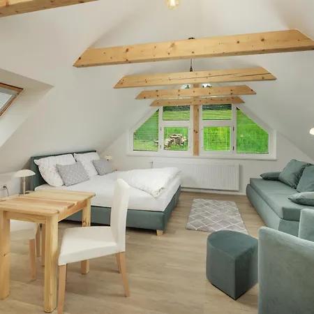 Jana - Wellness 3* Jilemnice